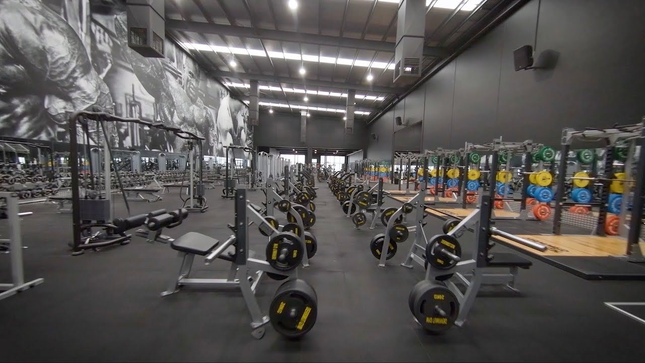Gym Blog